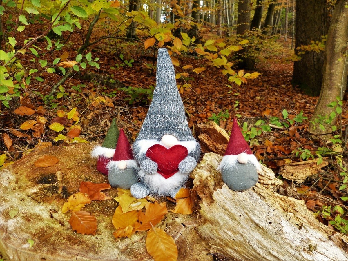 dwarfs gnome forest autumn imp heart colorful family 343050 min